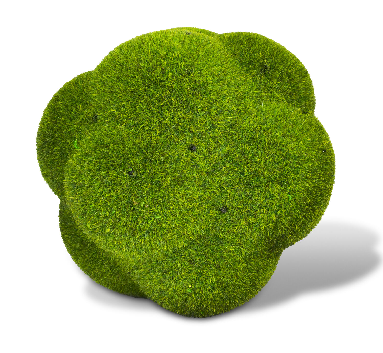 Moss